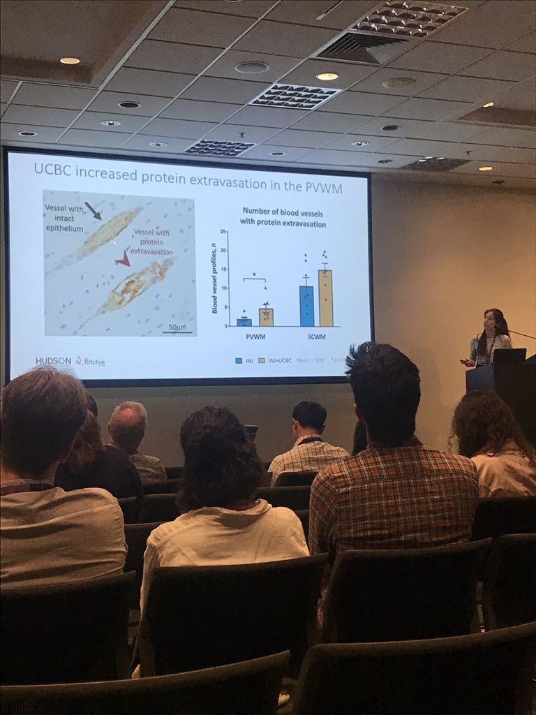 NeuroscienceNes's tweet photo. Kyra Chan giving a brilliant talk about stem cells and #preterm #brain injury at @AusNeuroSoc
@RitchieCentre @Hudson_Research @SCSMonash @MonashUni
#ANS2018 #ANS18 #Neuroscience #StemCells #MedicalResearch https://t.co/KM2ynd6fFL