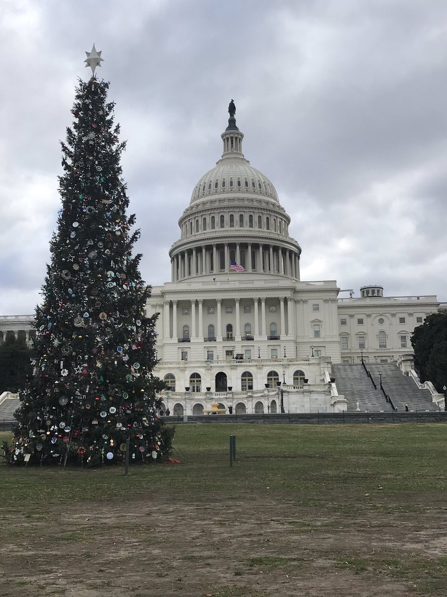 OregonFarmGirl's tweet photo. Honored to be part of the @PeoplesTree project for Oregon and the strong community this tree has created! #capitolhill #traveloregon #Christmas #christmastree #usforestservice #sweethome #HomegrownChristmas https://t.co/NlQyybYztG