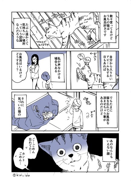 最近は寝てても起こして声をかけるようにして、猫の意思を確認します。 