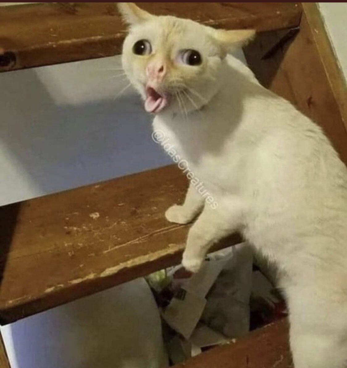 perempuan : awak terlalu baik untuk saya
lelaki :