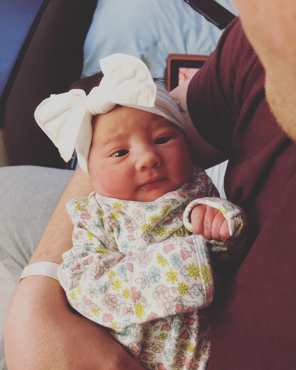 VanCarmer's tweet photo. So guys @landoncarmer and I created some progeny and here are some photos https://t.co/C2ze9HbqA0