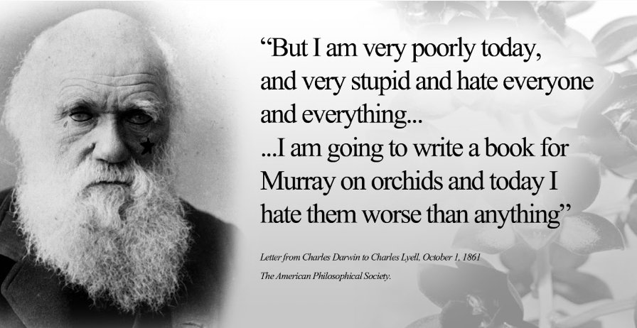 earthcolored's tweet image. #pacificuanthro ADVICE TO FUTURE STUDENTS of ANTH 302: You're prob gonna get tired of your topic, like how good ol' Darwin here got tired of orchids. When that happens, take a moment to share your progress. Feedback will reinvigorate you and remind you why your topic is important