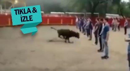 Boğanın bu davranışı sizi çok şaşırtacak
odatv.com/boganin-bu-dav…