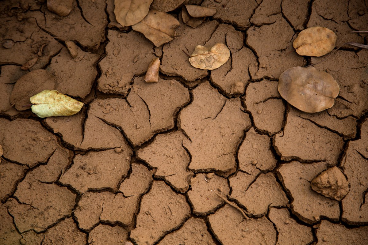 This nutritious topsoil was captured from surface runoff on its way to a nearby stream, ready to leave our landscape forever.  Thanks to this contour earthwork, our precious resource was saved.  Cover your soil on #WorldSoilDay2018  #RegenerativeAgriculture #AgroEcology #Worms