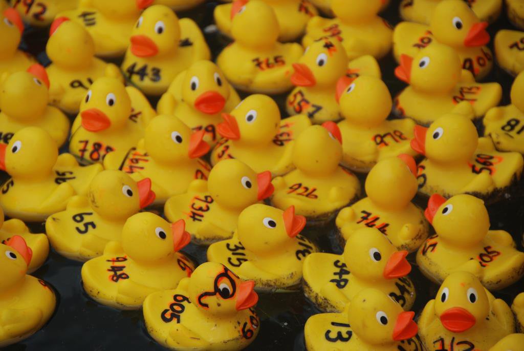 Have you bought your duck numbers for the QUACK ATTACK DUCK RACE on Saturday 29 December?

There are great cash prizes for the first 3 ducks over the finish line!

Duck numbers are limited. Buy yours online now: pay.onlines.co.za/product/splash…

More info here: knysnasplash.co.za