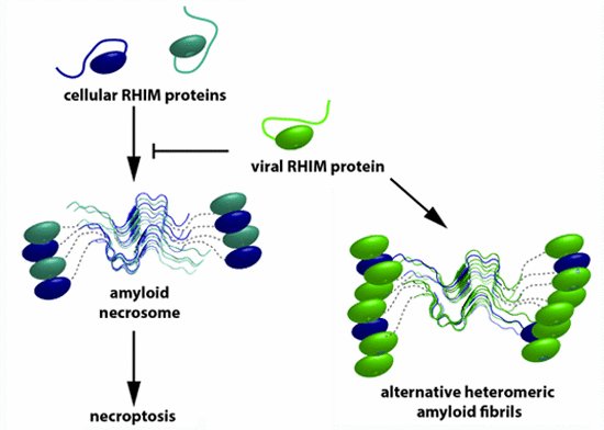 EMBO Reports tweet media