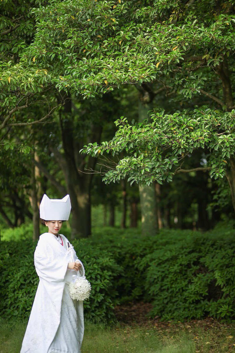 白無垢屋 Shiromukuya Twitter