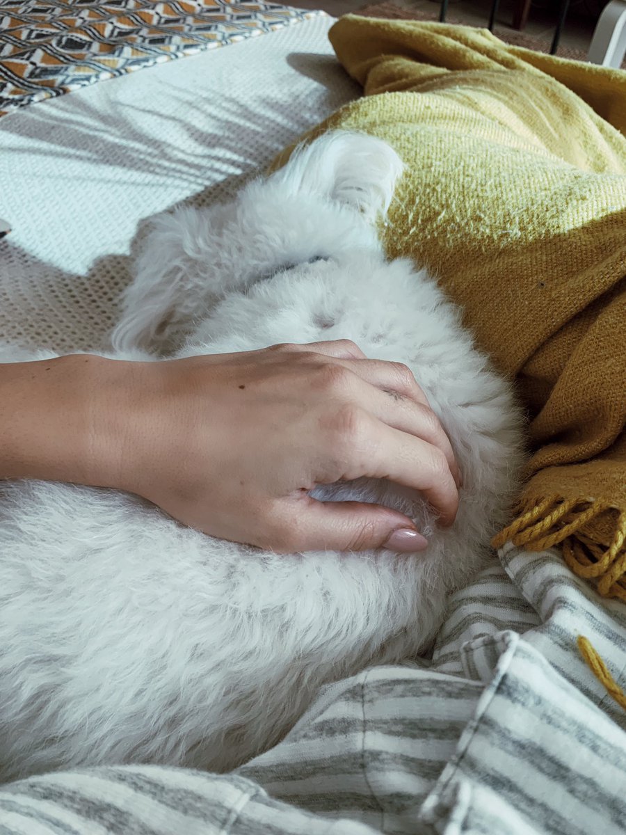 Morning cuddles like these 😍😍😍 too afraid to move so i don’t disturb this little munchkin. 
No but seriously ive been trapped like this for 35 mins and im starting to get cramps.