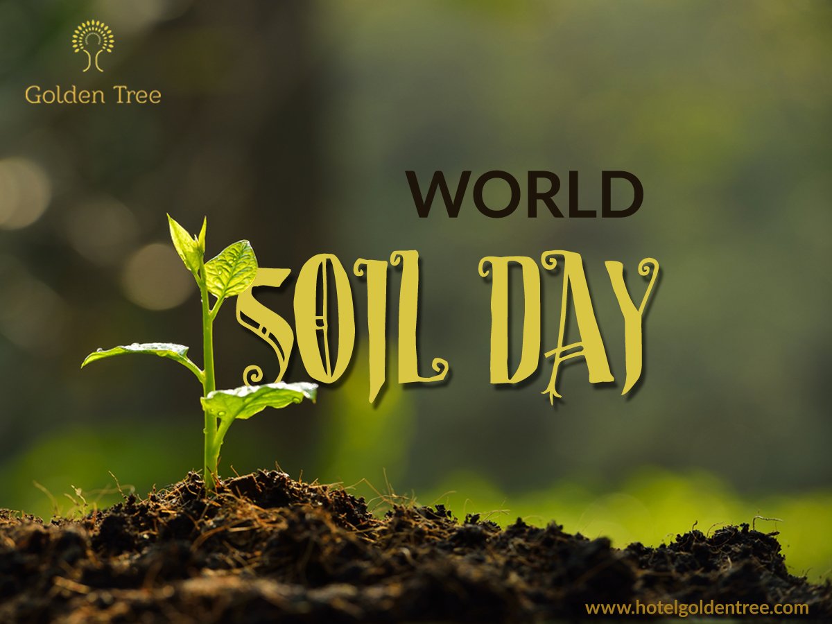 Save nature for the future and let's explore it ourselves. #worldsoilday #earth #motherearth #nature #freshenvironment