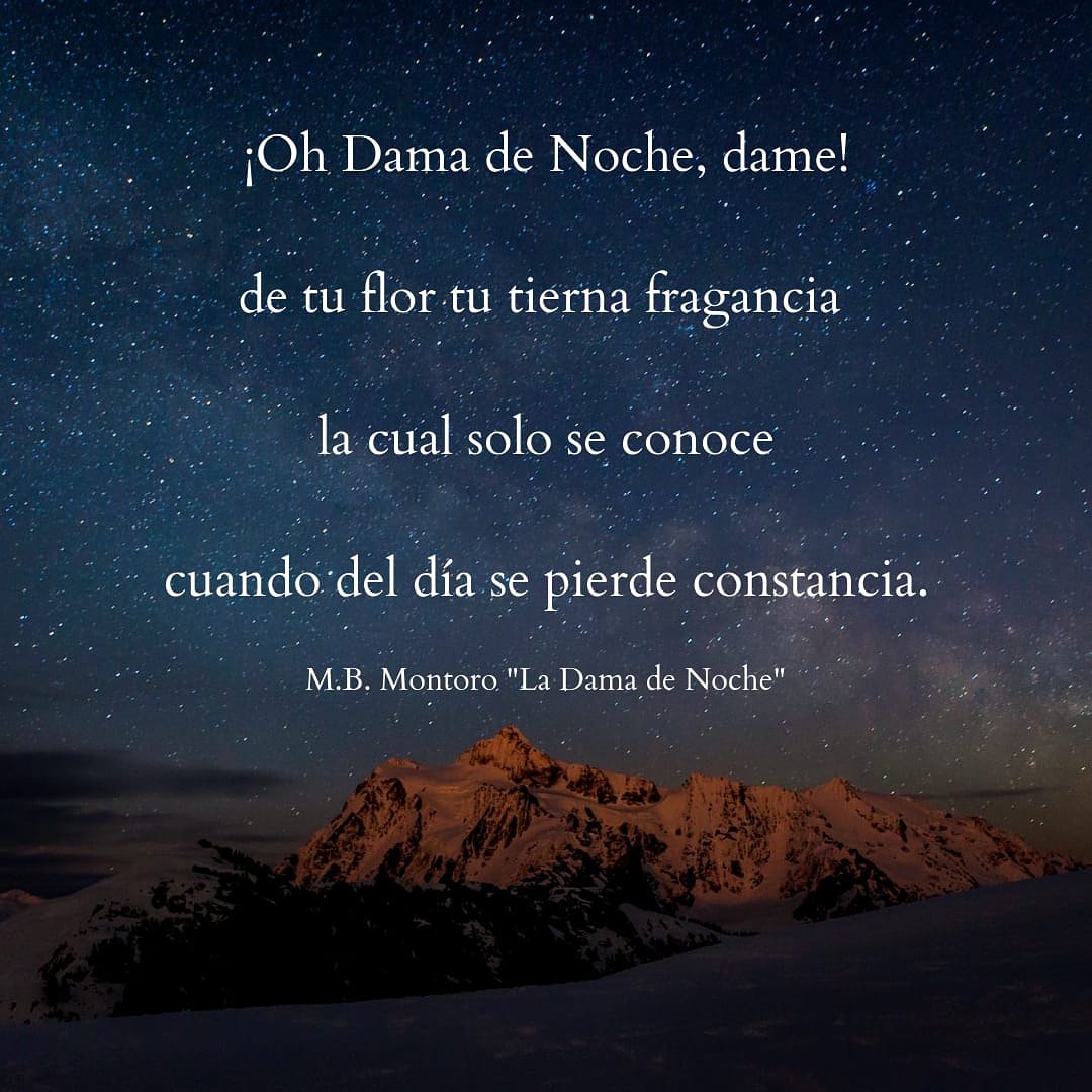 ProyectoCapri's tweet photo. 📢¡¡Frase de La Dama de Noche!!📢
@mariabelenmontoro
@proyectocapricorniobooks
#FraseDelDia #leeresvivir #book #libto #bookslovers📚 https://t.co/T2527QRNFA