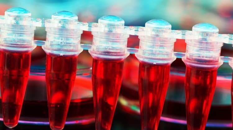 Stem Cell Innovations tweet media