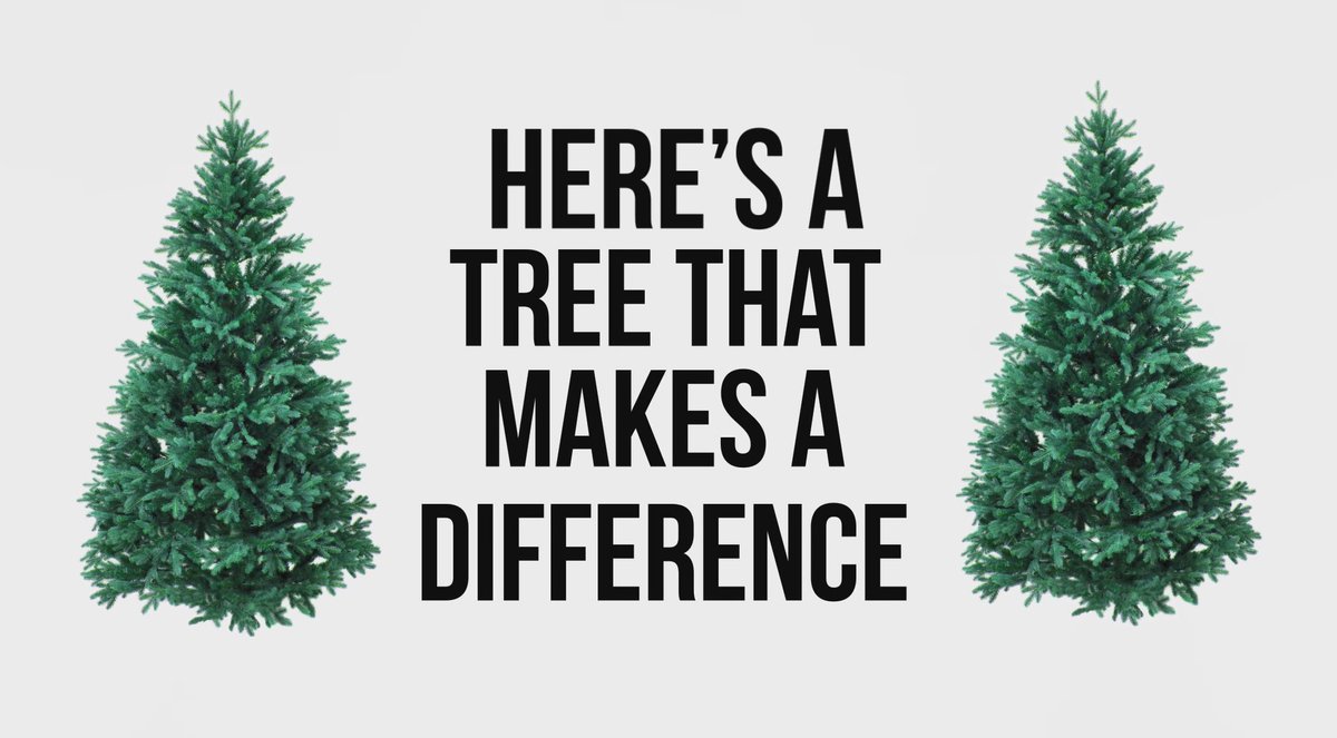 bethanychtrust's tweet photo. Instead of buying your Christmas tree from your local supermarket, purchase a Bethany #CaringChristmasTree before noon on 10 December & 100% of the proceeds go directly towards Bethany’s work with the homeless! Order your tree today: https://t.co/3WhFgSjnob https://t.co/e5pPWyhP9I
