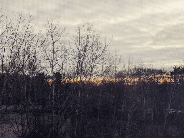 christinalena's tweet photo. Good morning from #AlbanyNY everyone! How is everyone's day going so far?
#monstrosities #twitchkittens #twitchosf #supportsmallstreamers #grackpack https://t.co/O2NBTIzmf2 https://t.co/cviogAKSWX