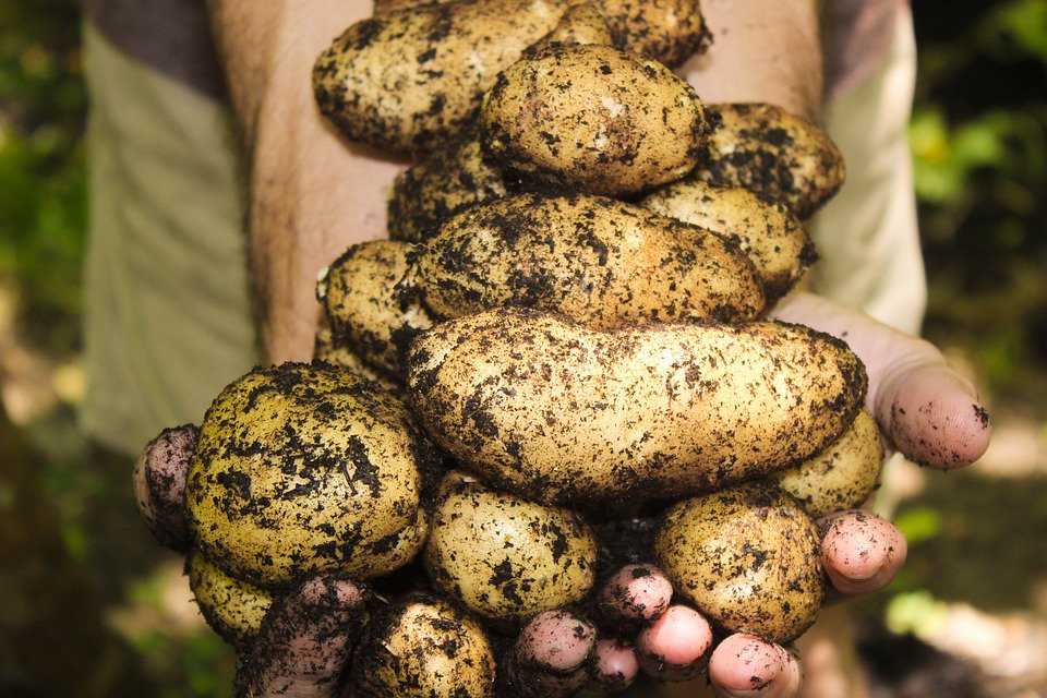 AdventureEco's tweet photo. El 95% de los alimentos provienen del suelo. Es importante tomar conciencia y evitar su contaminación. #StopSoilPollution #DíaMundialDelSuelo https://t.co/1LfArk8nXv