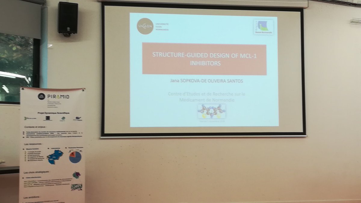 SylvainCollet44's tweet photo. Conférence #piramid (projet soutenu par @paysdelaloire) : Jana Sopkova du @CermnUnicaen vient nous parler de "structure-guided design of Mcl-1 inhibitors au laboratoire #ceisam de la @FacSciencesNtes @UnivNantes https://t.co/QSnrLWMkqO
