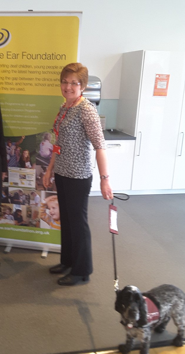 We have some amazing volunteers here at The Ear Foundation! Thank you so much for all you do, from wrapping all the presents for our children's Christmas parties to retubing hearing aids at our Hear2Help drop in clinics &amp; abseiling at our residentials! #InternationalVolunteerDay