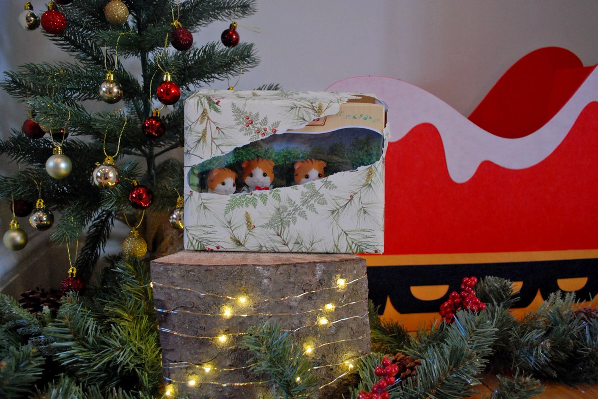 SylvanianUK's tweet photo. On the fifth day of Christmas, my Sylvanians gave to me… 

Just RT for the chance to #win this #prize! #competition #SylvanianSleigh https://t.co/IG9dXBfF8M