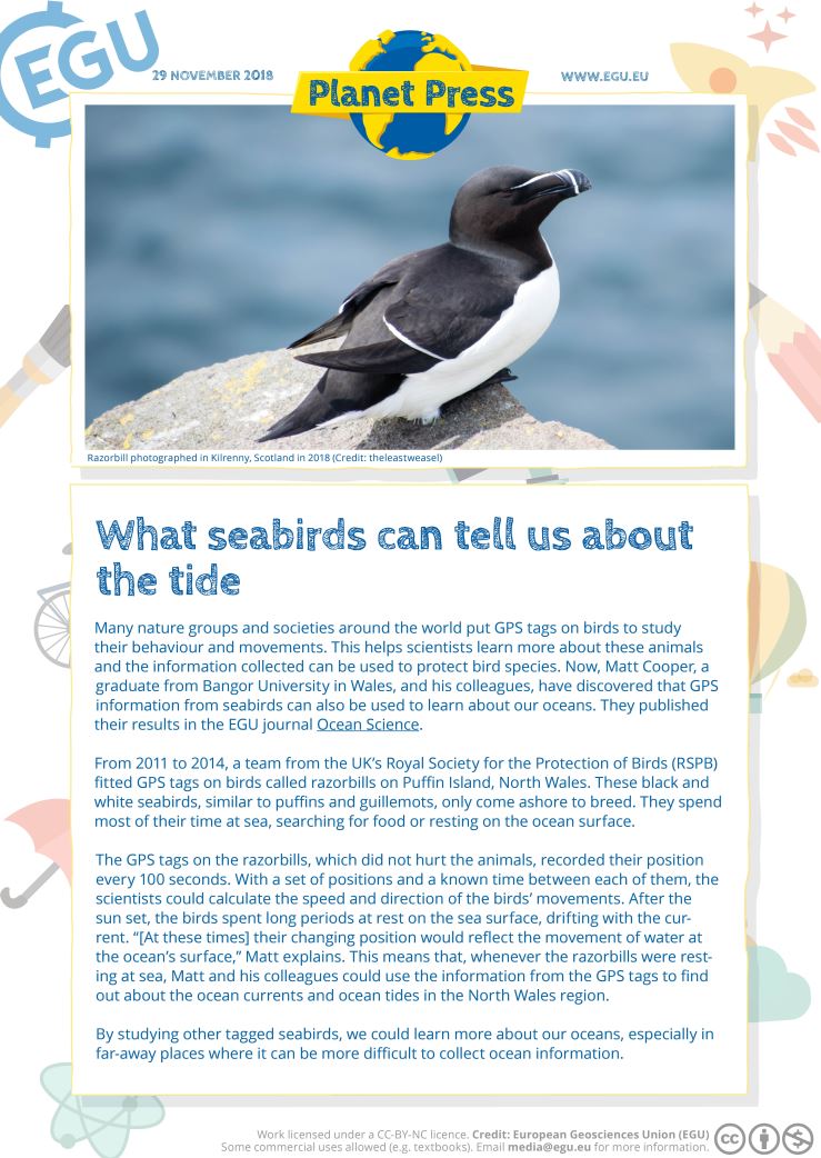 EuroGeosciences's tweet image. #PlanetPress: What seabirds can tell us about the tide. Read our latest kid-friendly press release! @mczakk73 #EGUnews egu.eu/7JUJ9H