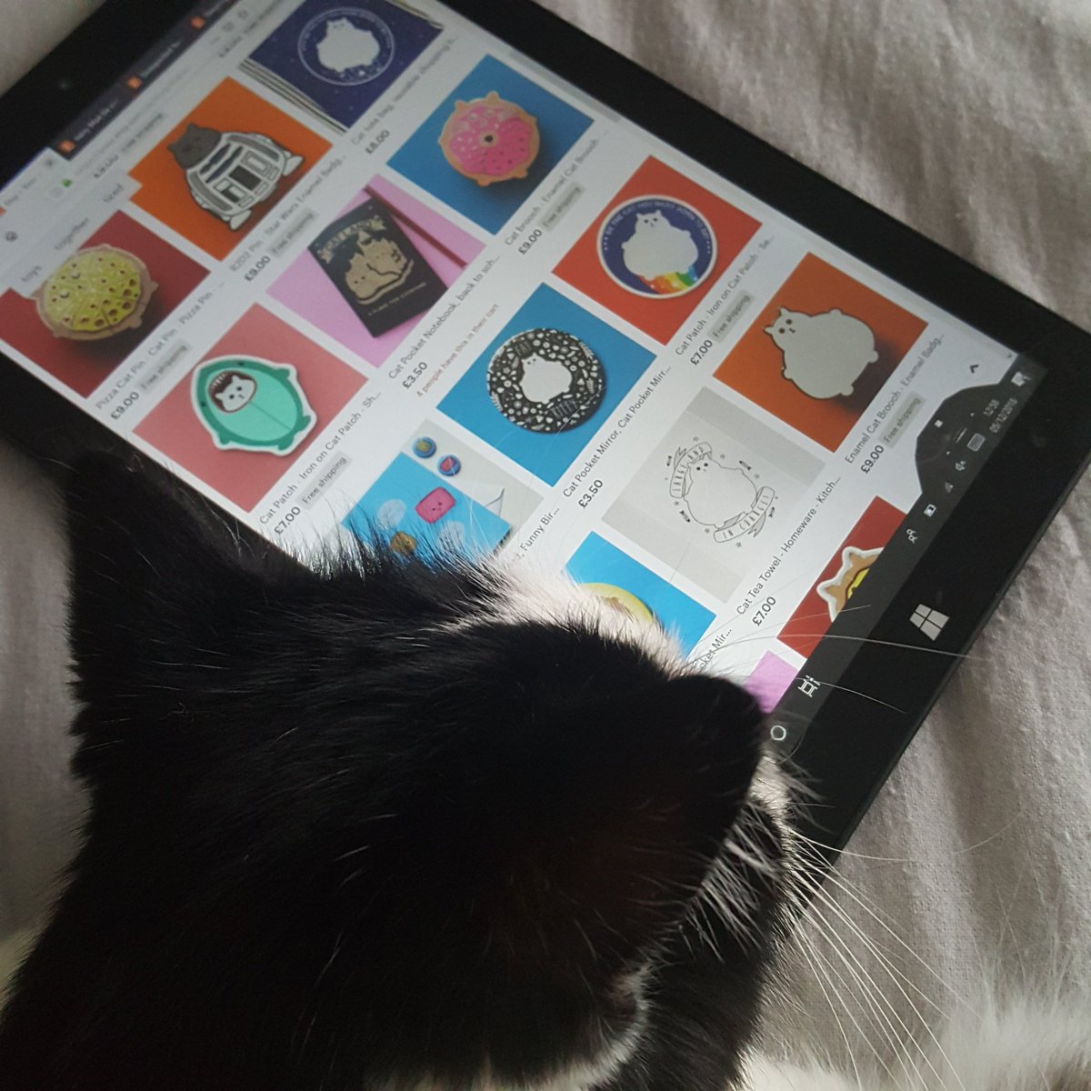 coolforcatsuk's tweet photo. Just putting together a #Christmas gift guide for #catpeople and Alfie is literally drooling over the @thenosuchdisco Etsy shop!

#CatsOfTwitter #AdoptDontShop https://t.co/sj6d9LWnY5