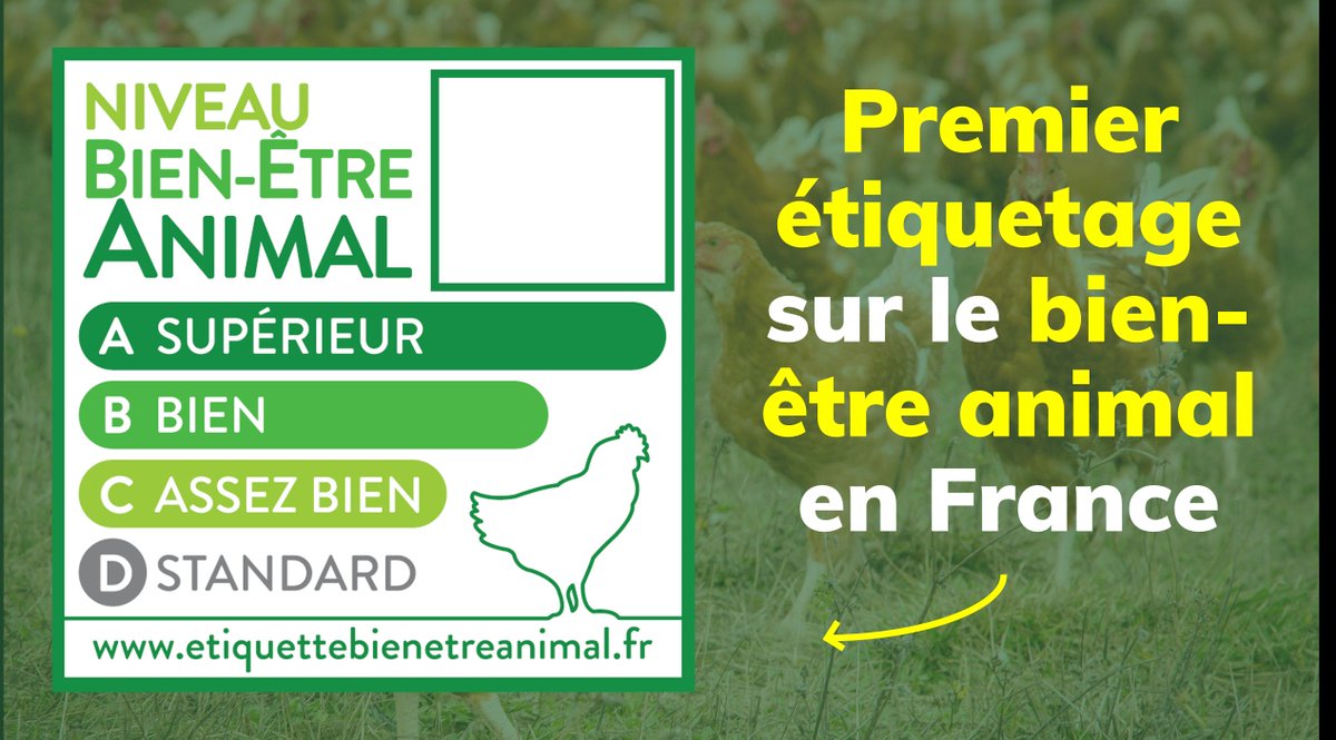 Le groupe Casino et trois organisations indépendantes et reconnues de la #protectionanimale (<a href="/CIWF_FR/">CIWF France</a>, <a href="/fondationLFDA/">Fondation Droit Animal, Éthique et Sciences (LFDA)</a> &amp; <a href="/OABA_Off/">OABA</a>) lancent le premier étiquetage sur le #bienêtre animal en France. Objectif: renforcer la transparence pour le consommateur.
🔗 bit.ly/2KWdOZy