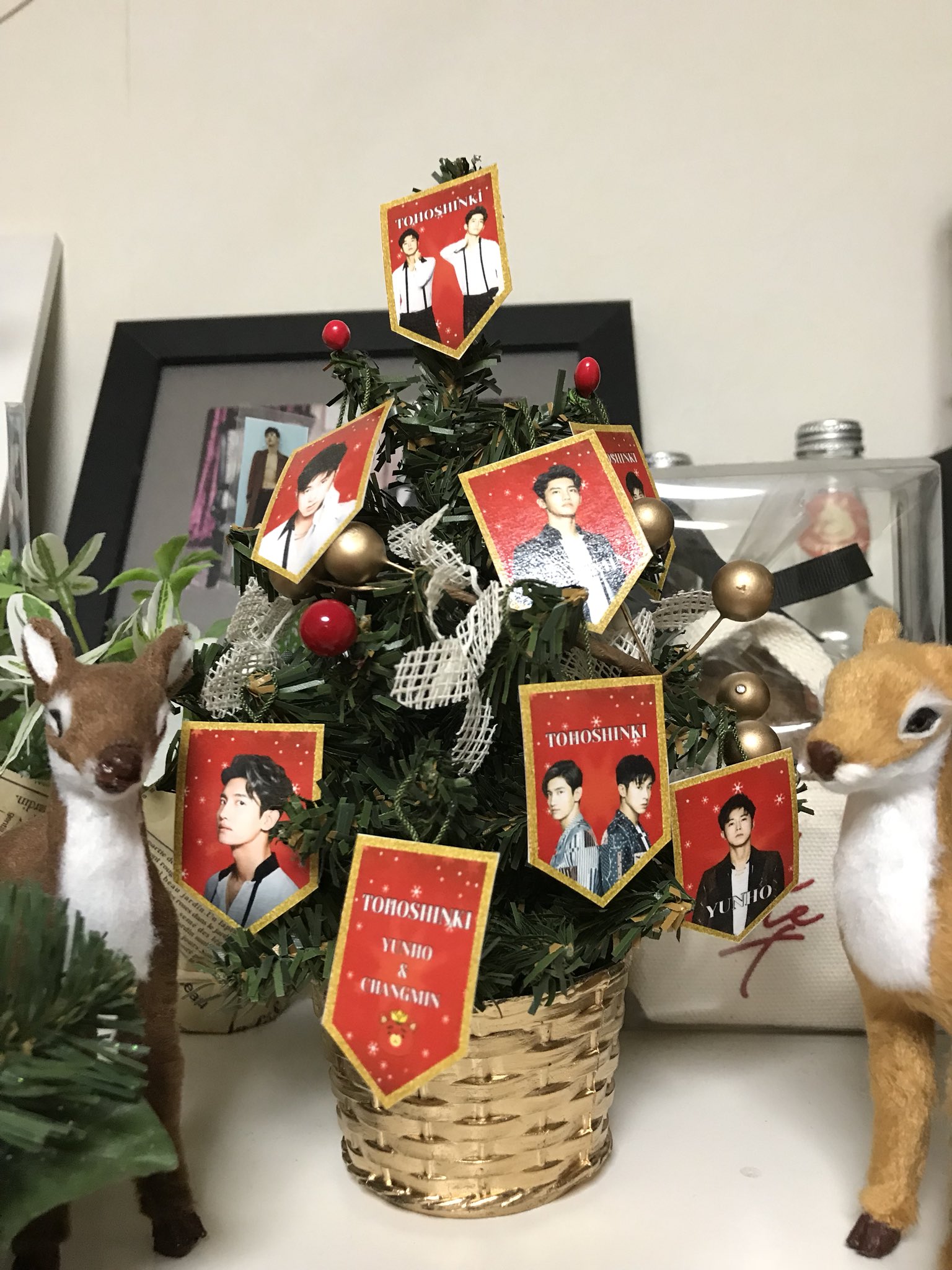 تويتر 東方神起クリスマス البحث في تويتر