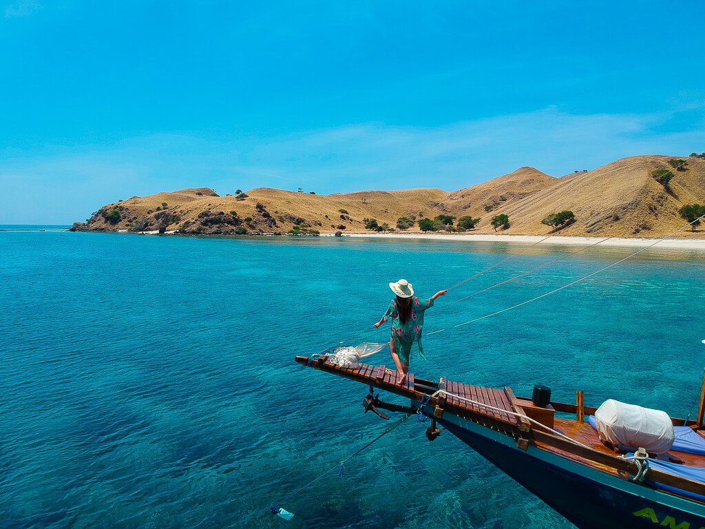 SobaPd's tweet photo. Year is about to end. Will you plan to spend your Christmas &amp; New year holiday in Komodo National Park and Flores island. Trust us to organize you tour. See us more on https://t.co/imvu8G5p4h
Whatsapp : +62 821-4773-5054
#indonesia #komodo #tour #packages https://t.co/6IMQBgjn8G