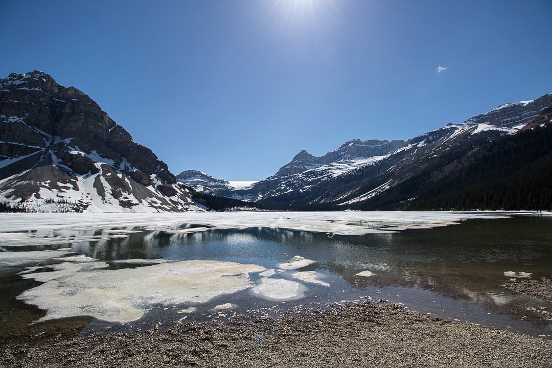 its_lenu's tweet photo. Shiny Spring days at Bow Lake

#bowlake #travelalberta @lonelyplanet @ExploreCanada #thephotohour #canon #landscapephotography #travel

https://t.co/sG5NWdddMg https://t.co/Q3emT0pDxH