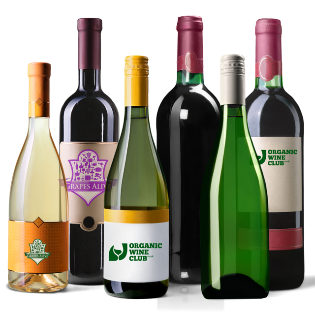 A gift idea from our vegan gifts blog post <a href="/organicwineclub/">Billy nathan</a>

Not only do they have all vegan collections, they have biodynamic, no added sulphites and alcohol free

#yourgiftboutique # #giftinspiration #giftsforher #giftsforhim #christmasgifts #vegan #veganlifestyle #vegangifts