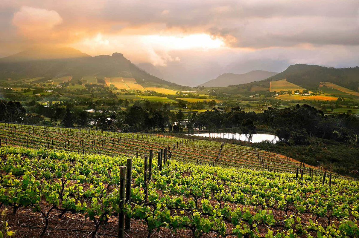 TOMSA98's tweet photo. #DidYouKnow
Franschhoek is Dutch for "French Corner", coming from the many settlers who named their new farms after the areas in France — most of which still retain their original Cape Dutch farm houses today. These farms have grown into renowned wineries. #WednesdayWisdom https://t.co/Fu2WsE8eSR