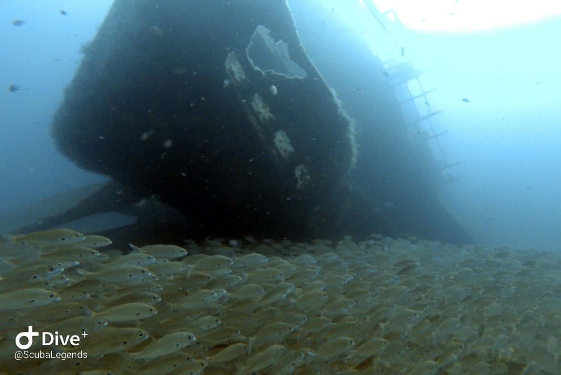 ScubaLegends's tweet photo. Sone wrecks just have their own personality. It's #TimeToTec @ https://t.co/NCSloC17af
#teccourse #padi #underwater #scubalove #scubalife #scubadiving #scuba #grancanaria #divers #diving #divetrip #divetips #techdiving #paditv #tauchen #buceo #busseig #plongée #duiken https://t.co/AIkOfOFtl9