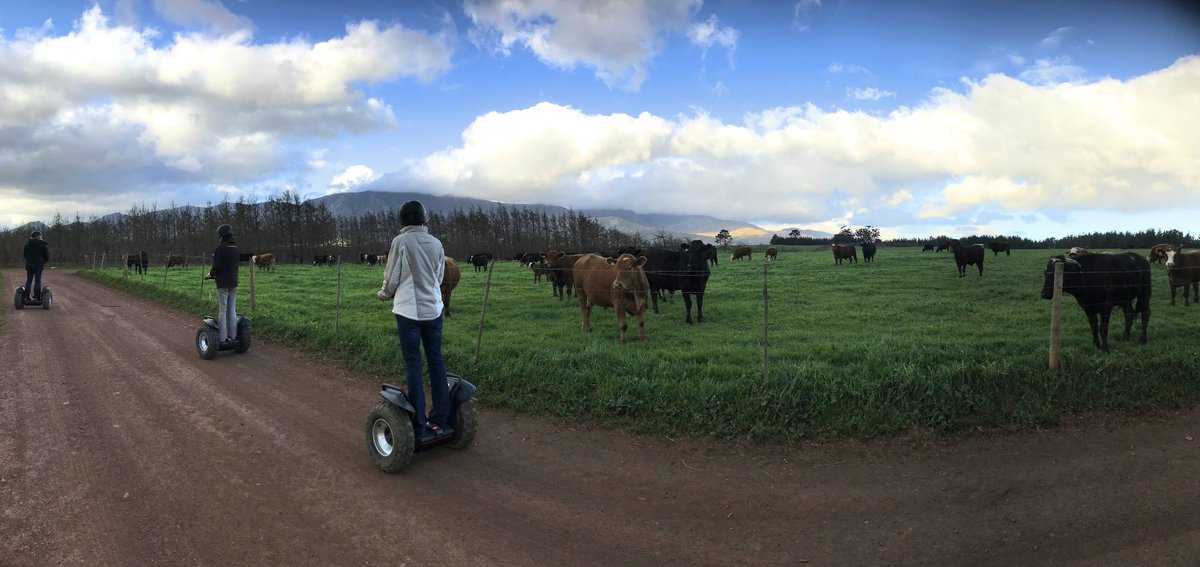 When you're rollin' in the country with us, you get to meet some pretty mooooo-velous 'locals' 🐮

Come #discoverOverberg with us on two-wheels this summer!