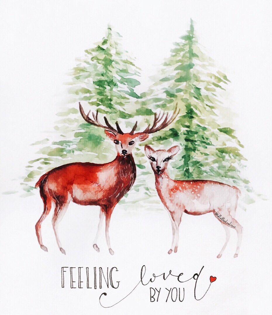 MalloryToman's tweet photo. #watercolor #December #illustration #Angers #madeinangers https://t.co/mJZfegB5A7