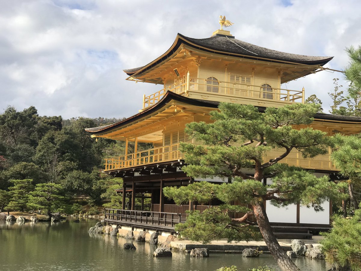 Daolily's tweet photo. Day 5 we managed to visit Fushimi Inari Shrine, Golden Pavilion and bamboo forest and tenryu-ji zen temple in our one free day. What stunning views! https://t.co/UimedRQmSC