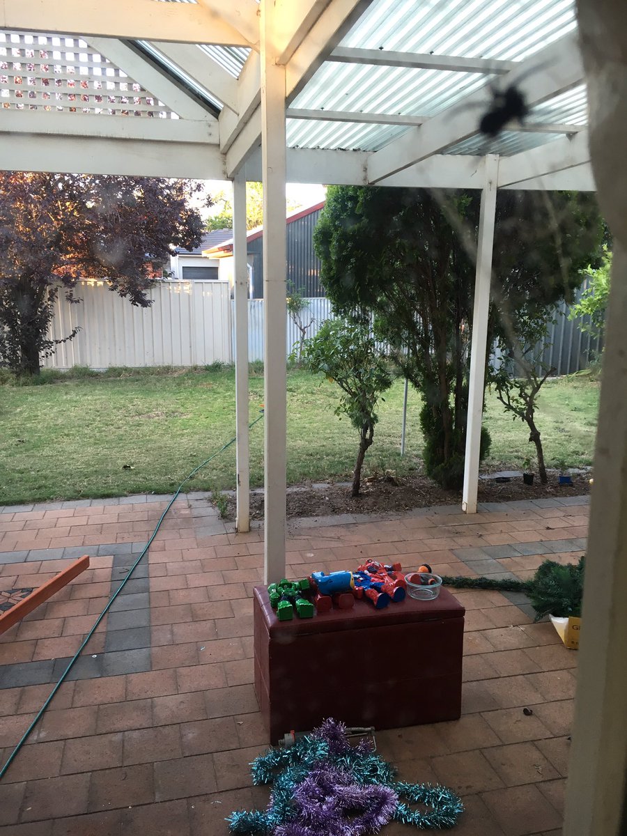 Ogre1 (real) tweet media