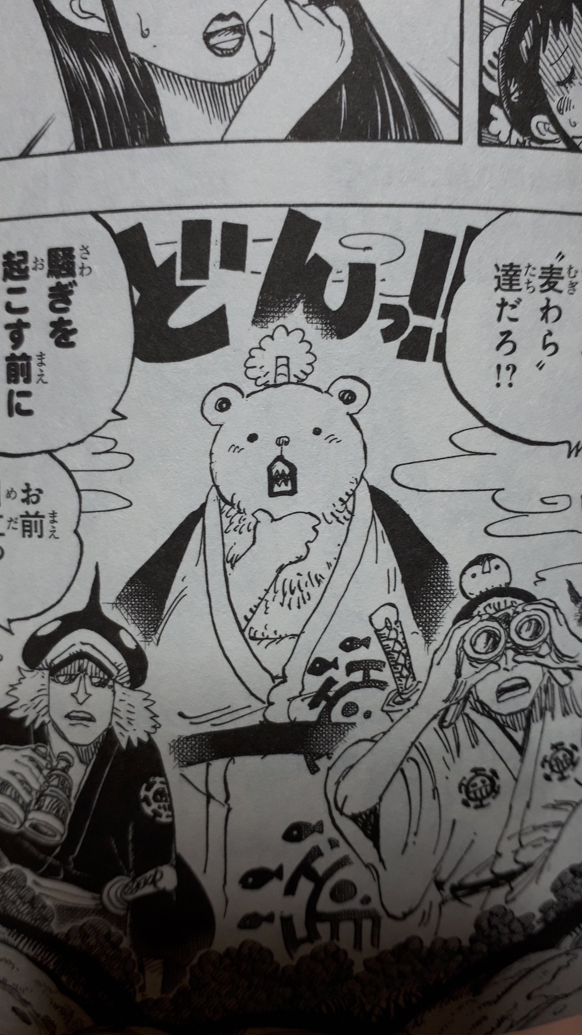 ワンピース ミンク族ってなに ミンク族のメンバーを詳しくまとめてみた まんが人気考究