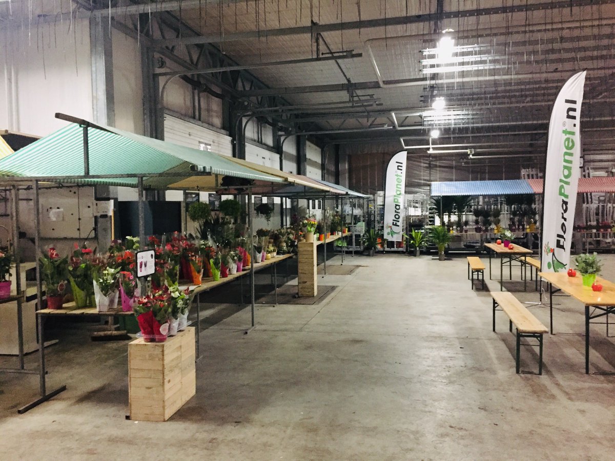 deBarreveld's tweet photo. Vandaag en morgen, 5&amp;6 December: FloraPlanet Huisbeurs @Barreveld! Komt u ook gezellig langs? Zwethlaan 21! #Floraplanethuisbeurs https://t.co/oTmtpfZtAb