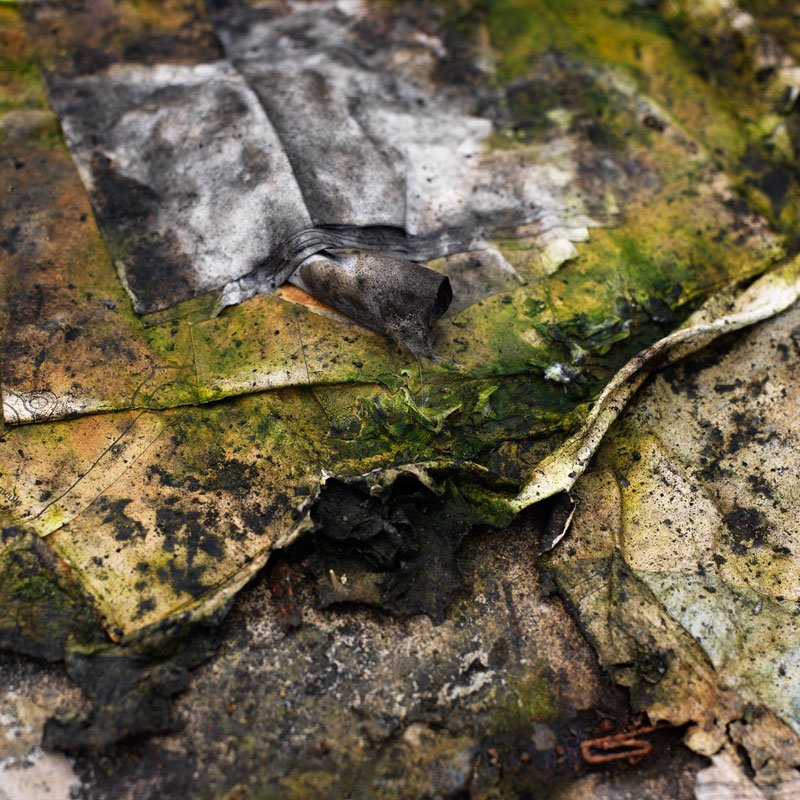 Bit20Paris's tweet image. #Cesoir Lancement de la 11è #exposition satellite de la Biennale de l'Image Tangible à 18h avec Sophie Carles / Frederic Messager / Jonathan Paquet à @SmartFoodParis bit20.paris/smartfoodparis #bit20paris #paris20e #artcontemporain #photo