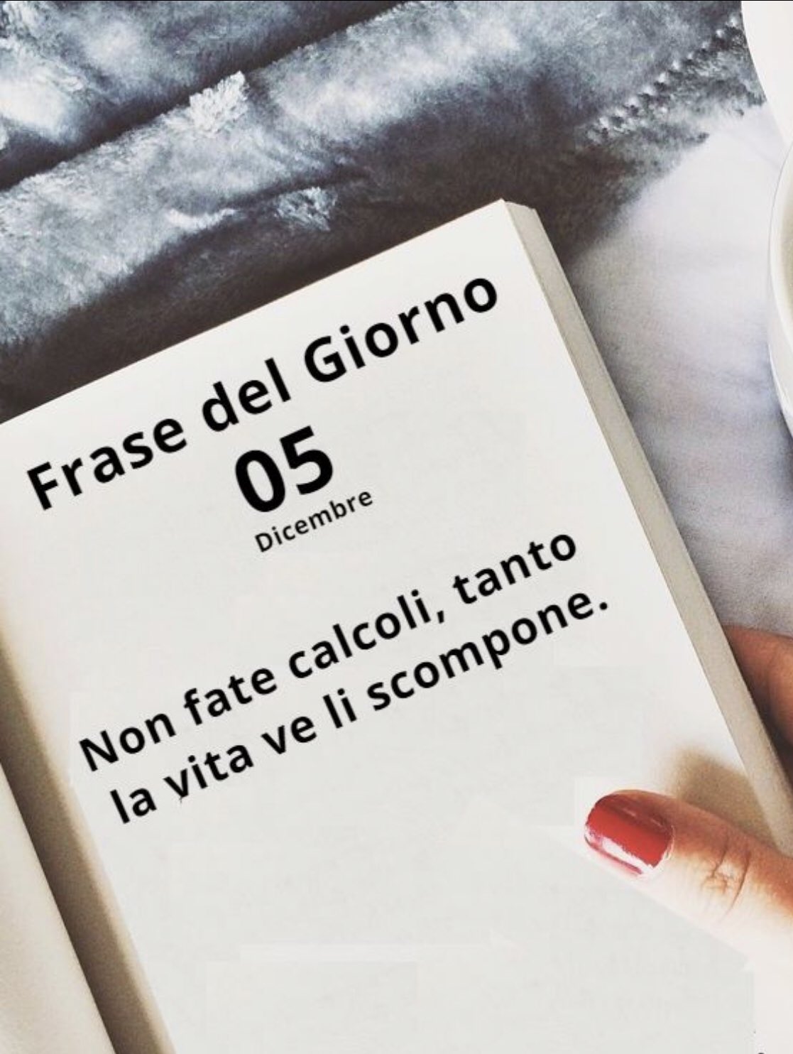 Mary Frasedelgiorno 5dicembre Aforismi Buongiornoatutti