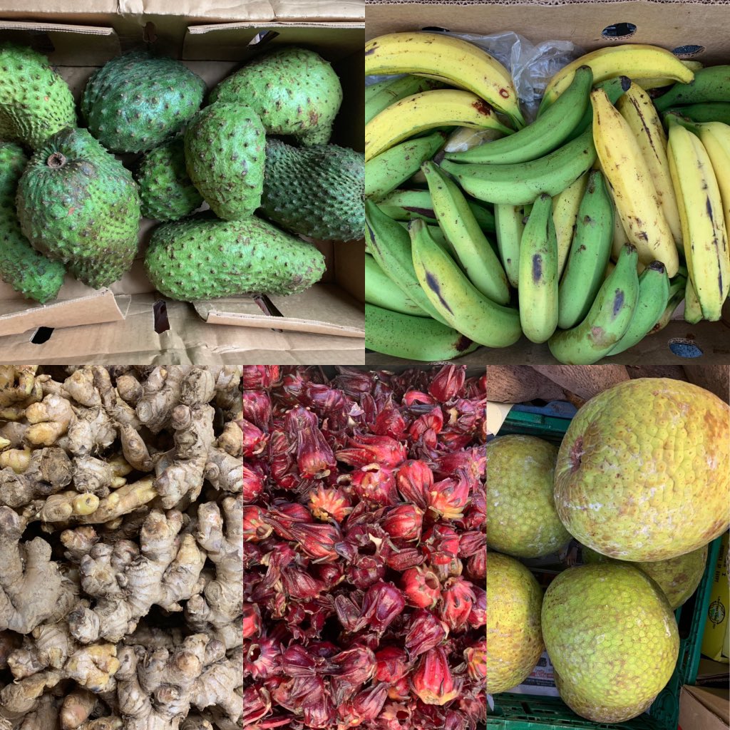 We have got all things #Jamaican today. #ginger #sorrel #plantain #soursop and #breadfruit. #shoplocal #westindiancookery #homecooking #Caribbean #Jamaica  #traditional #HealthyLiving  #healthyeating #healthyfood