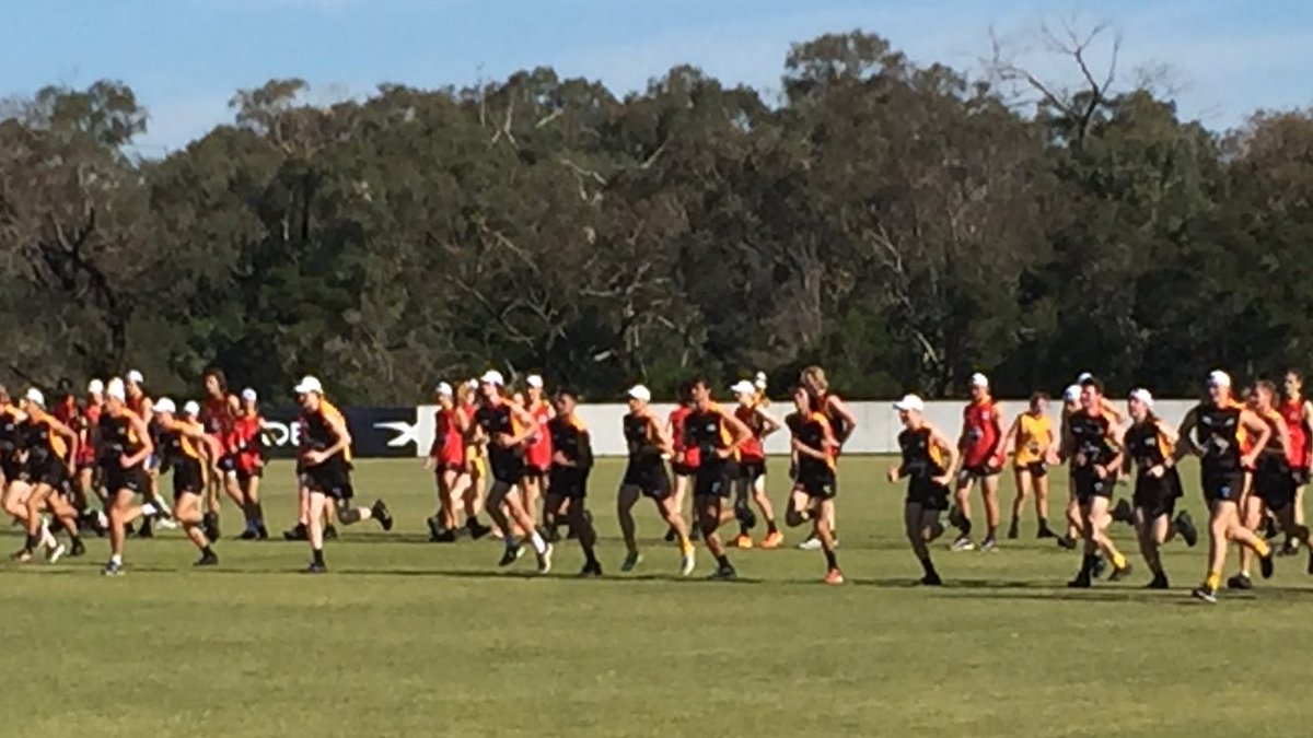 D_Flanigan's tweet photo. ⁦@DandyStingrays⁩ whole of club training session at linen house Seaford. 171 players, 26 coaches, 5 S&amp;C, 11 medical and 4 managers. Big crew. Thanks Dale, the Seaford FC and ⁦@stkildafc⁩ for the ongoing support. https://t.co/8Mr2Apz3jO
