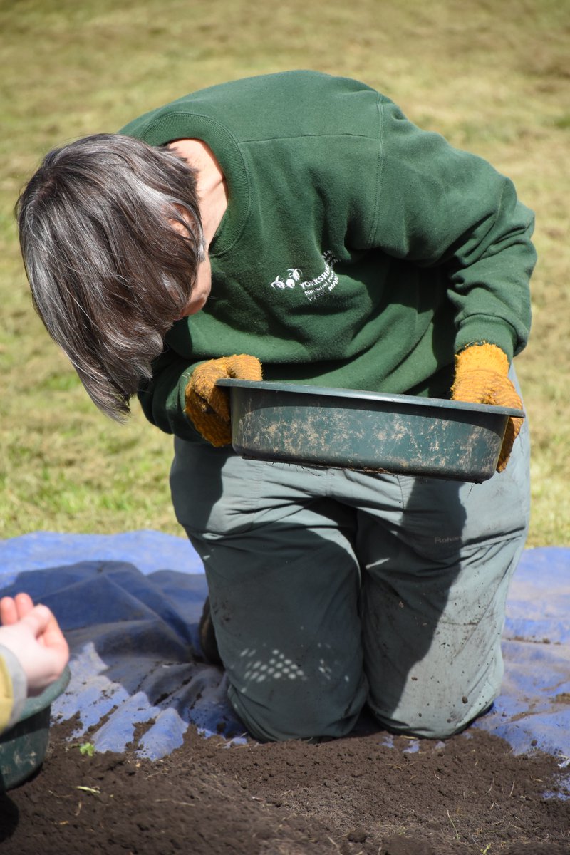 dalesarch's tweet image. 30 test pits were dug to an average depth of 50cm for the #WeDigCommunity project. That's a lot of soil that our volunteers dug (and sieved too) - to unearth over 12,000 finds! #WorldSoilDay #InternationalVolunteersDay #archaeology #heritage #Wensleydale #YorkshireDales