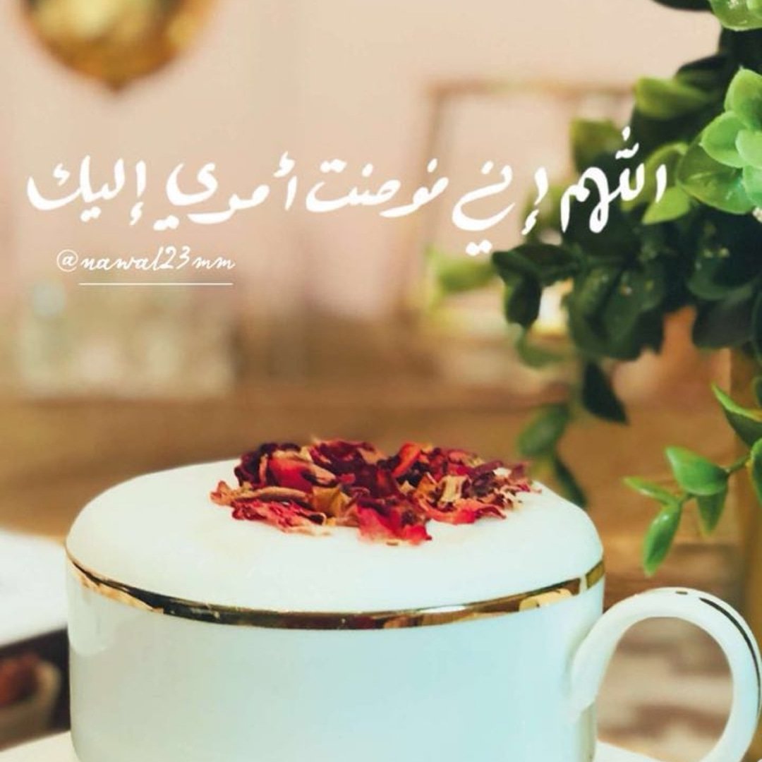 BentAlArab2's tweet photo. https://t.co/oMgE1vHCku