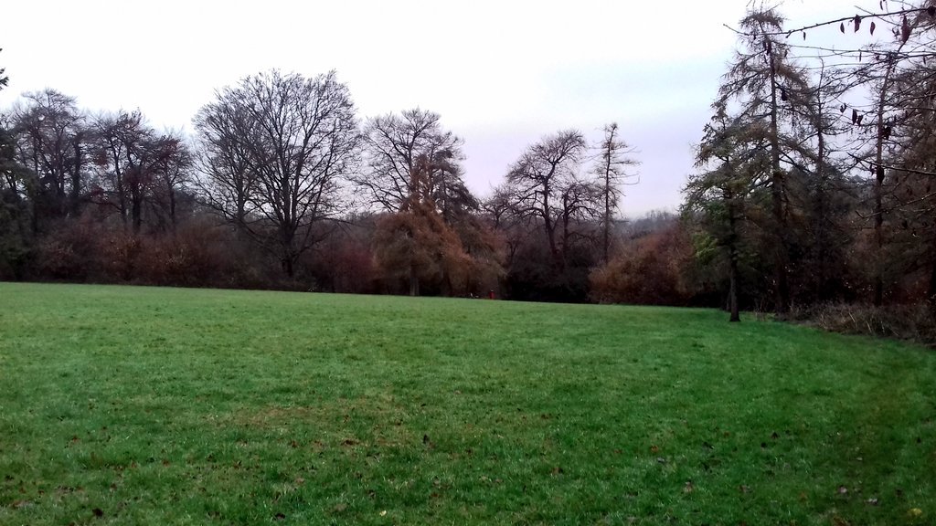 MasonTheHiker's tweet photo. Currently patrolling #PurleyBeeches, #SouthCroydon.
It is great to be speaking with the dog walkers who are enjoying the open space on this wet Wednesday morning.
#CommunityEngagement #NeighbourhoodSafetyTeam
#NeighbourhoodSafetyOfficer
#Sanderstead
#DeliveringForCroydon https://t.co/qZRKTLvrOO