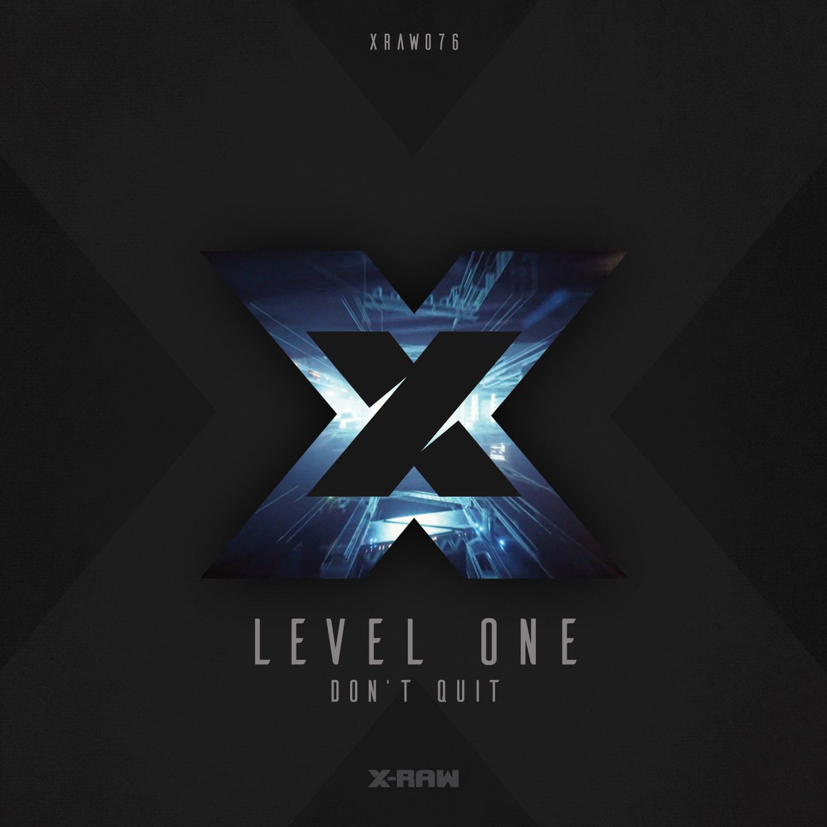 X-RAW tweet media
