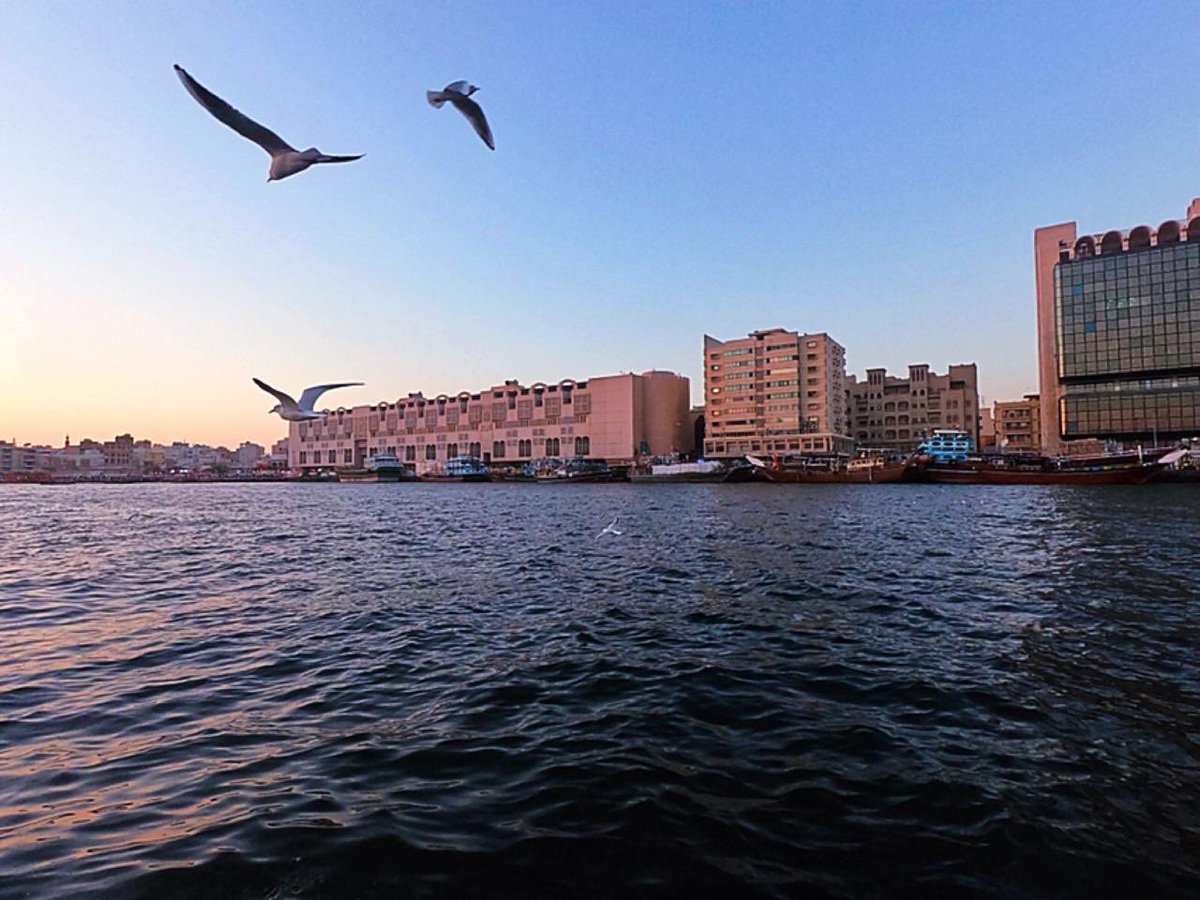 executiveUAE's tweet photo. A city is not gauged by its length and width, but by the broadness of its vision and the height of its dreams. -Herb Caen

#theolddubai #history #exploredubai #amazingviews #oldisgold #citylights #propertyrealestate #realestatedubai #propertyinvestor #mydubai #dubai #uae https://t.co/FQXRT80FMF