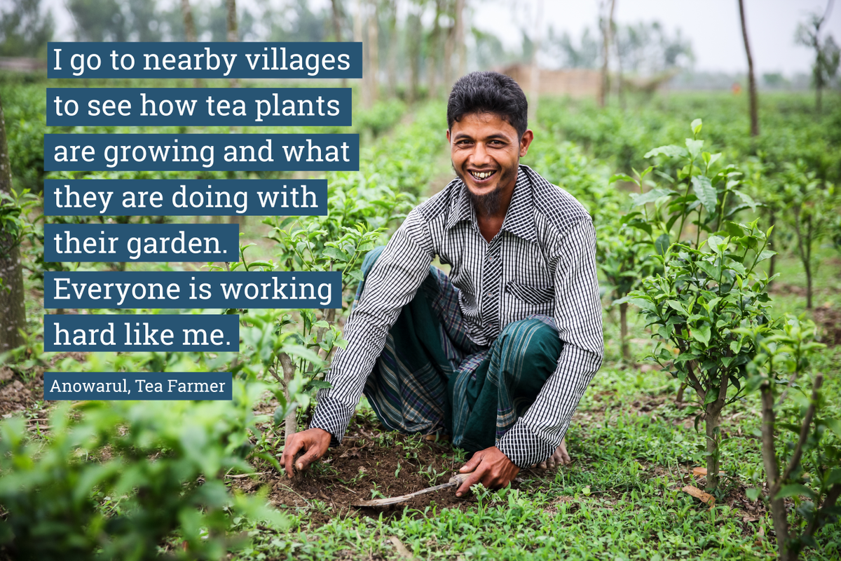 Transform Trade tweet media