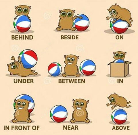 privat_inggris's tweet photo. #LearnEnglish #Vocabulary
#Belajar #Inggris #Grammar

Preposition of Place https://t.co/mIlbzCKA5h