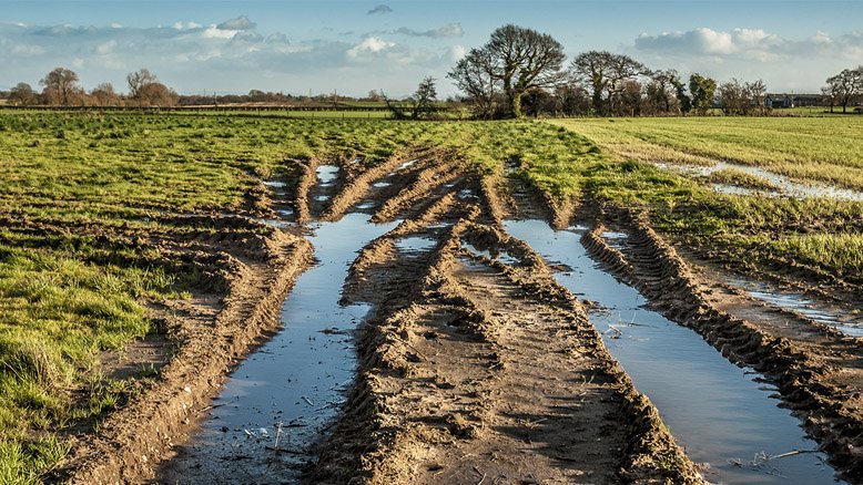 We need to protect our #SoilHealth on #WorldSoilDay.Here are results showing variability in #Soil properties #compaction by traditional sampling + novel #GPR.Good soil management offers huge potential for #NFM #naturalfloodmanagement as it can be applied over large spatial areas