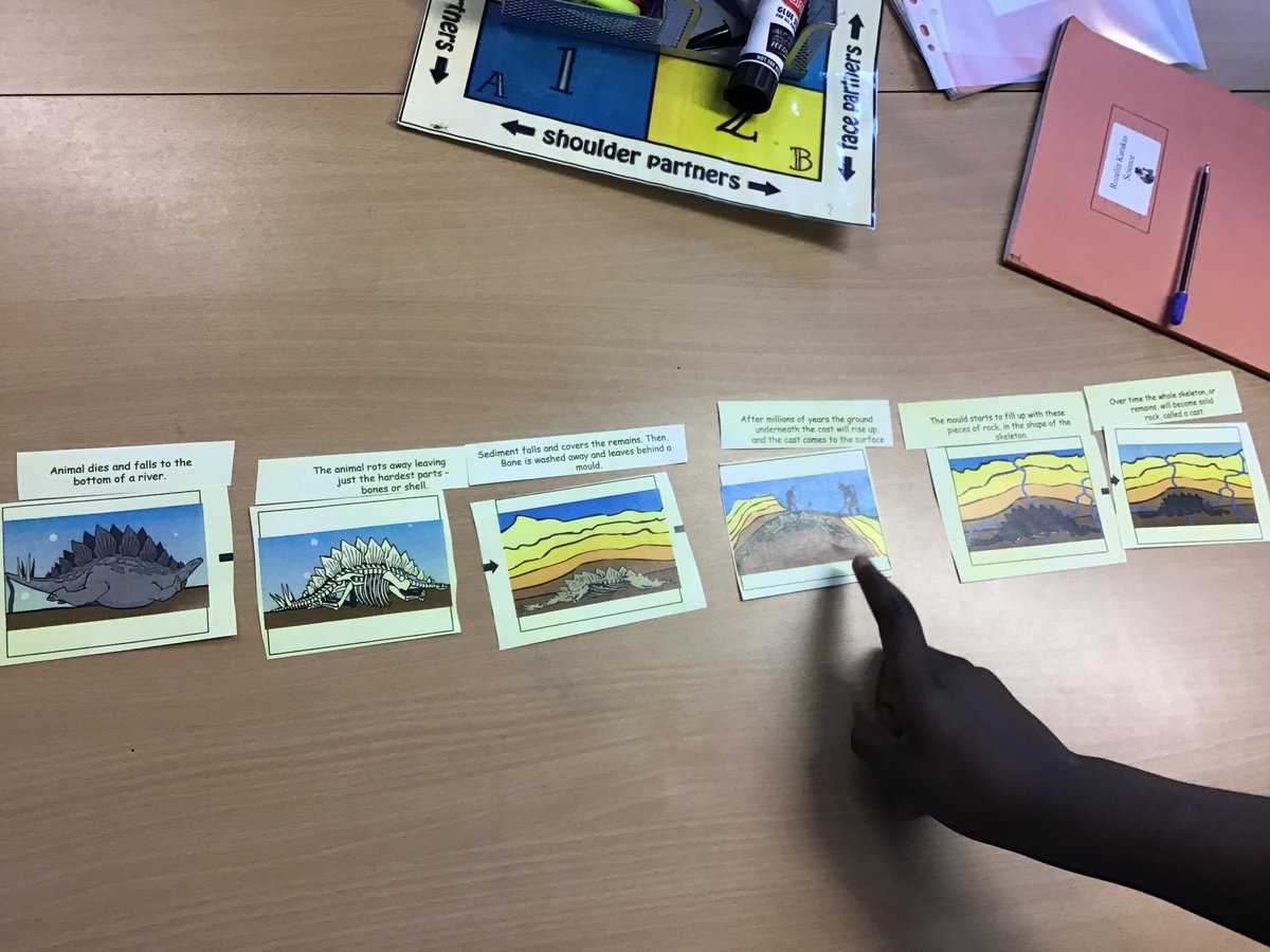 Y6stannes's tweet photo. Revisiting fossils in science! https://t.co/19wfag2wK2