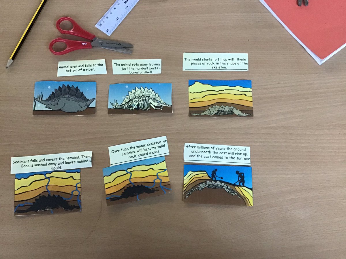 Y6stannes's tweet photo. Revisiting fossils in science! https://t.co/19wfag2wK2